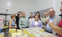 Başkan Gökçe: "Türkiye'nin kalkınması tarımdan geçiyor"