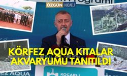 Körfez Aqua Kıtalar Akvaryumu tanıtıldı: Bu hafta sonu ücretsiz olacak
