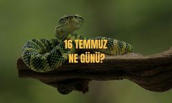 16 Temmuz Ne Günü? 16 Temmuz Türkiye'de Ne Günü?