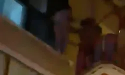 Tartışma korkunç bitti: Eşinin burnunu ısırarak kopardı