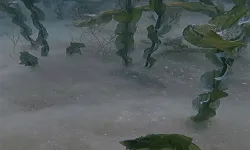 Sapanca Gölü’ndeki pamuksu tabakanın sırrı çözüldü