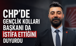 CHP'de Gençlik Kolları Başkanı da istifa ettiğini duyurdu