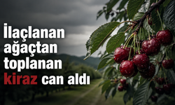 İlaçlanan ağaçtan toplanan kiraz can aldı