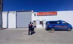 Gölcük ve İzmit’te JASAT operasyonu