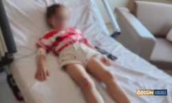 Anaokulunda Fare Zehiri İddiası: 5 Yaşındaki Çocuk Hastaneye Kaldırıldı