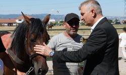 Değirmendere Rahvan At Yarışları’na 133 at katıldı