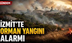 İzmit’te orman yangını alarmı
