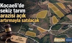 Kocaeli’de sekiz tarım arazisi açık artırmayla satılacak