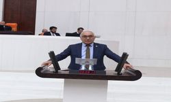 CHP’li Demir’den cemevleri ve eşit yurttaşlık çağrısı