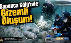 Sapanca Gölü'nde Gizemli Oluşum!