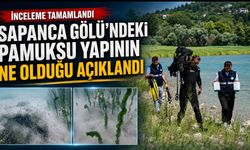 Sapanca Gölü’ndeki pamuksu yapının ne olduğu açıklandı