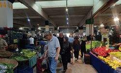 İzmit Cumartesi Pazarı'nda bu hafta hangi ürün kaç TL?