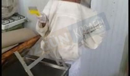 Kadın eli değdi, kurak arazi lavanta bahçesine dönüştü