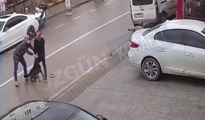Kocaeli’nde saldırgan köpek dehşeti! Bir Asiye dehşeti daha son anda engellendi