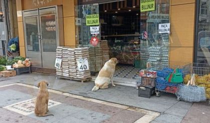 Günün ilk müşterileri yüzleri güldürdü