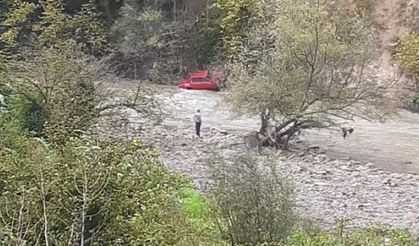 Otomobil çaya uçtu!