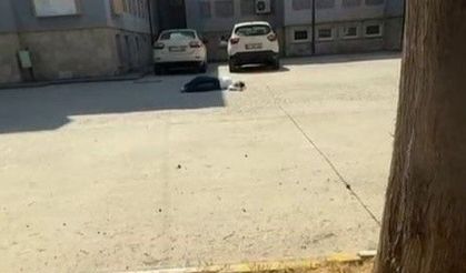 Yanlış sınav giriş kağıdıyla gelen aday, baygınlık geçirdi