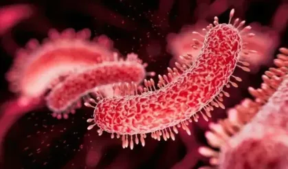 Et Yiyen Bakteri Türkiye’ye geldi iddiası plajları karıştırdı