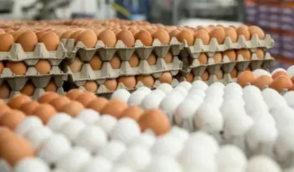 Yumurta satışında yeni dönem