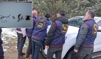 Korkunç Olay: Ormanda Kadın Kemikleri Bulundu