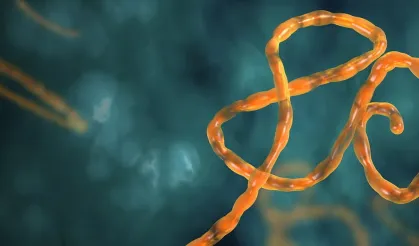 Ebola Salgını Yayılıyor! Sınır Kapıları Kapatıldı