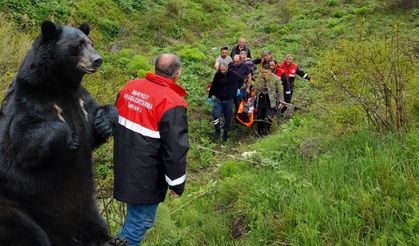 Parmağını Ayı Isırdı