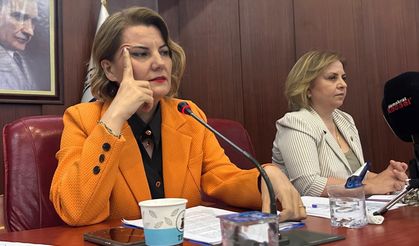 Hürriyet'e AK Parti'li Meclis Üyesinden Destek