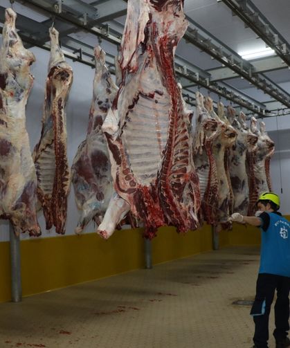 Kasapların Güvendiği Adres: Kocaeli Büyükşehir Mezbahası