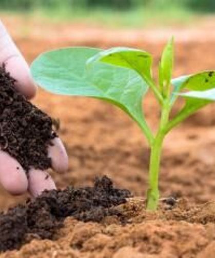 Çiftçilere Müjde: Gübrede Vergi Sıfırlandı