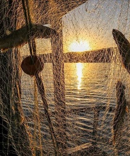 Balıkçılar Dikkat! Av Yasağı Tarihi Netleşti