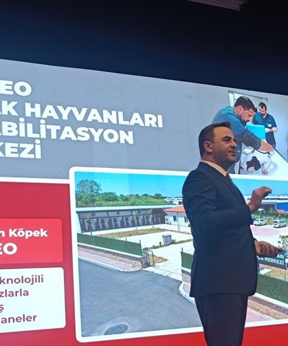 Özlü’den İzmit Belediyesi’ne Sokak Hayvanları Üzerinden Gönderme