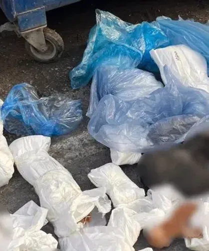 33 Kedi Ölü Bulundu: Bir Veteriner Gözaltında