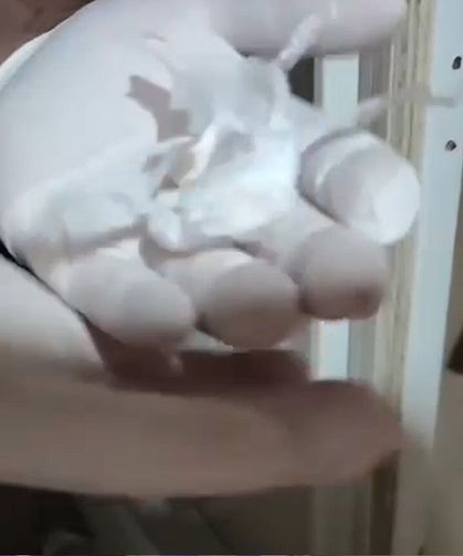 Sakarya’da Bonzai Operasyonu