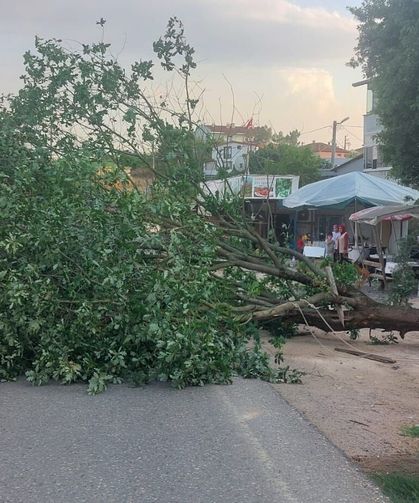 Şiddetli rüzgar Gebze'yi vurdu