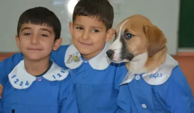 Okula Başlayacak Öğrenci Velilerinin Dikkatine