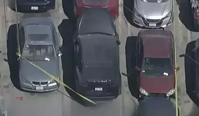 Ünlü Şarkıcının Tesla’sında çürümüş ceset bulundu!