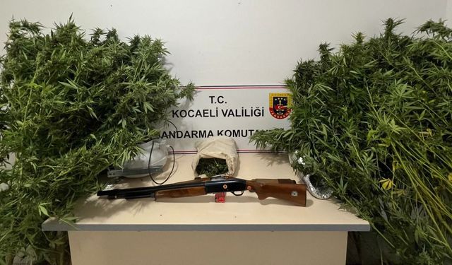 Karamürsel’de Uyuşturucu Operasyonu!