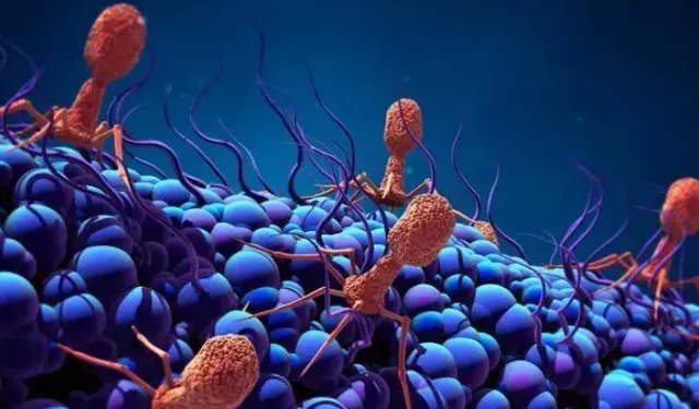 Yapay Zeka Sayesinde Bakterileri Öldüren Virüs Üretildi