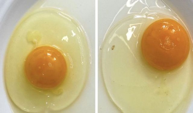 Yiyeceklerin Taze Olup Olmadığını Anlamanın 10 Pratik Yolu