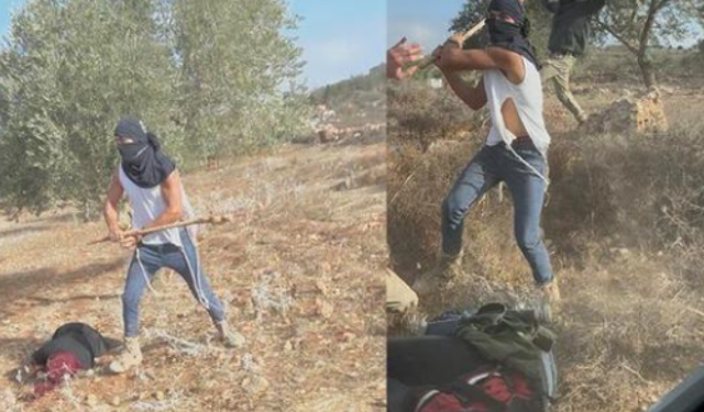 Yaşlı Kadına Bayılana Kadar Sopa İle Vurdu