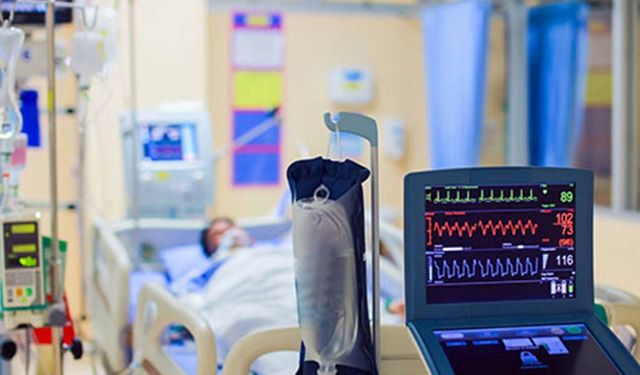 Türkiye'de Deli Dana Hastalığı!