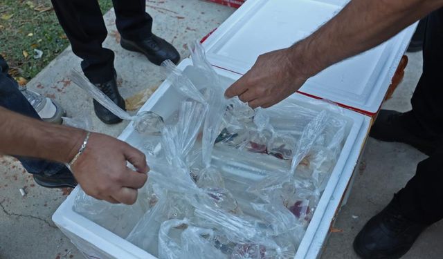 Tayland - Tokat - İstanbul! Fıkra Gibi Olay