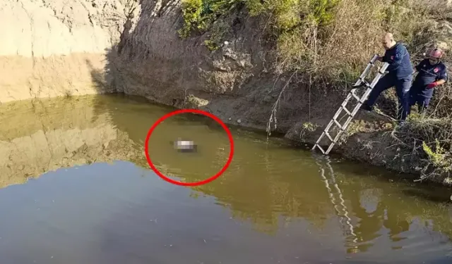 4 Metrelik Çukurdan Kadın Cesedi Çıkarıldı