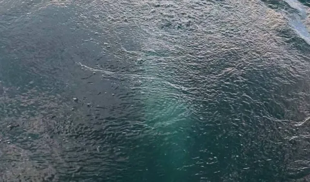 Sapanca Gölü’ndeki bu görüntü depremin habercisi mi?