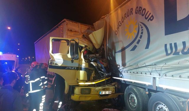 Arıza yapan tıra çarpan kamyon şoförü hayatını kaybetti