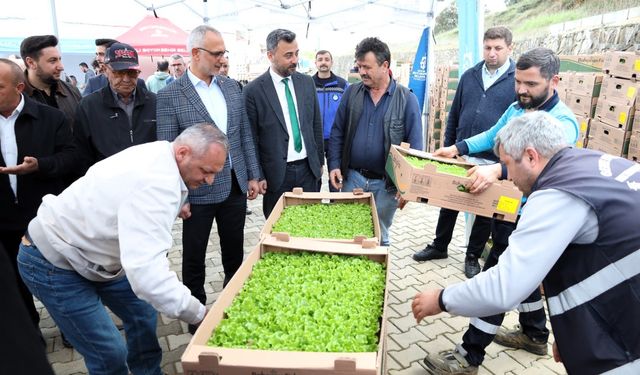Gebzeli çiftçiye 500 bin sebze fidesi