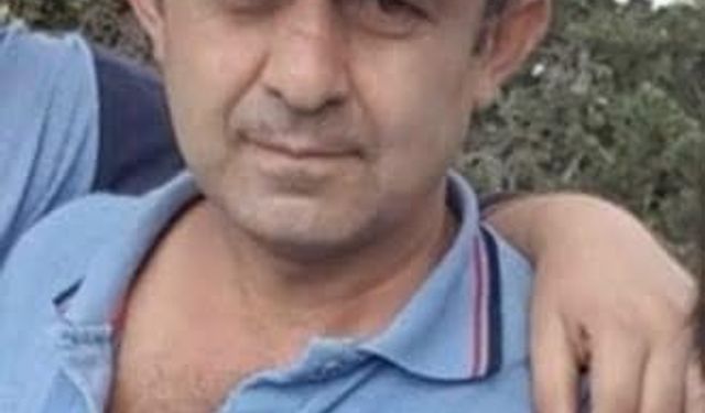 Kestiği ağacın altında öldü