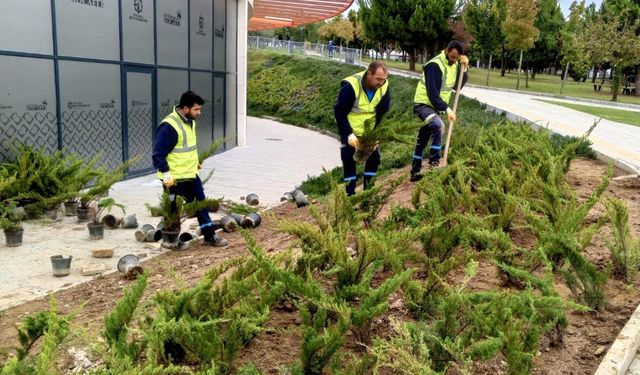 Millet Bahçesi'nde Temizlik ve Bakım Seferberliği