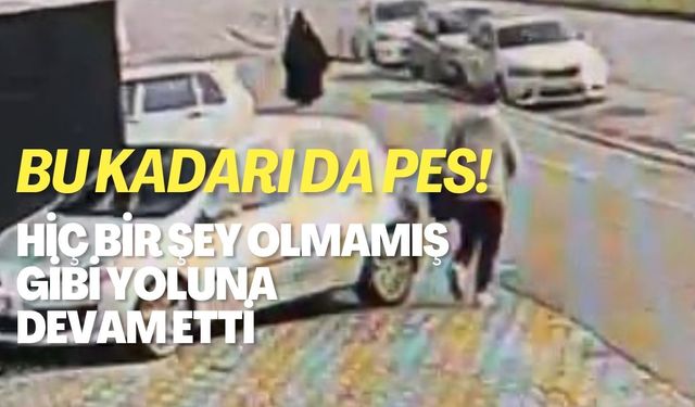 Sakarya'da ilginç görüntü!