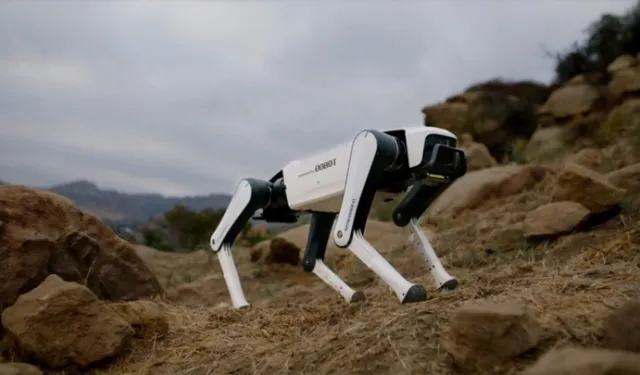 Robot Köpek Dönemi Başlıyor